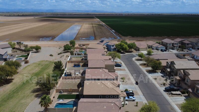 Spacious San Tan Valley Home | 4 Beds, Loft + Grass Backyard property image