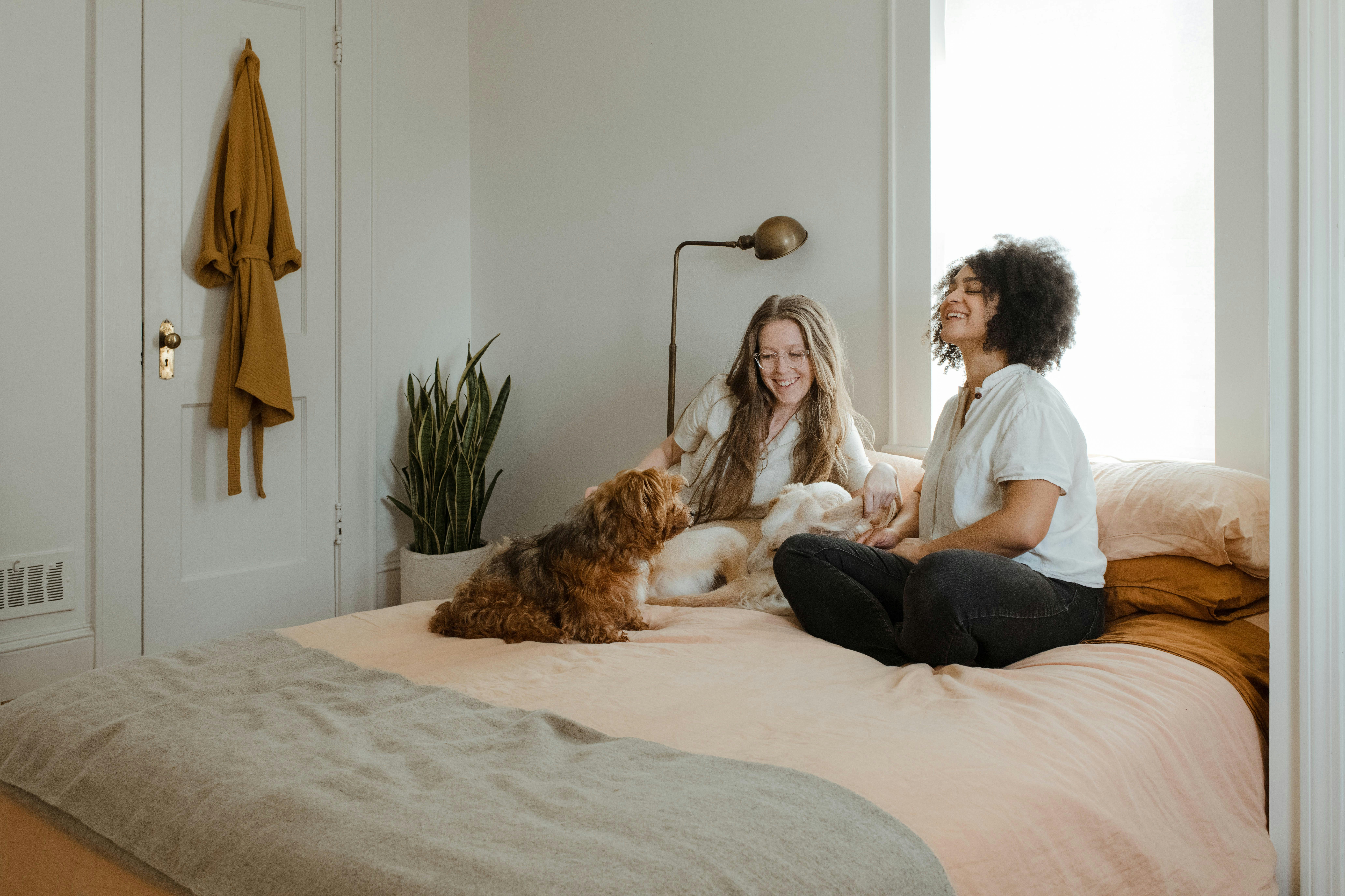 Pet-Friendly Rentals in Phoenix: Perks, Pitfalls, and Policies