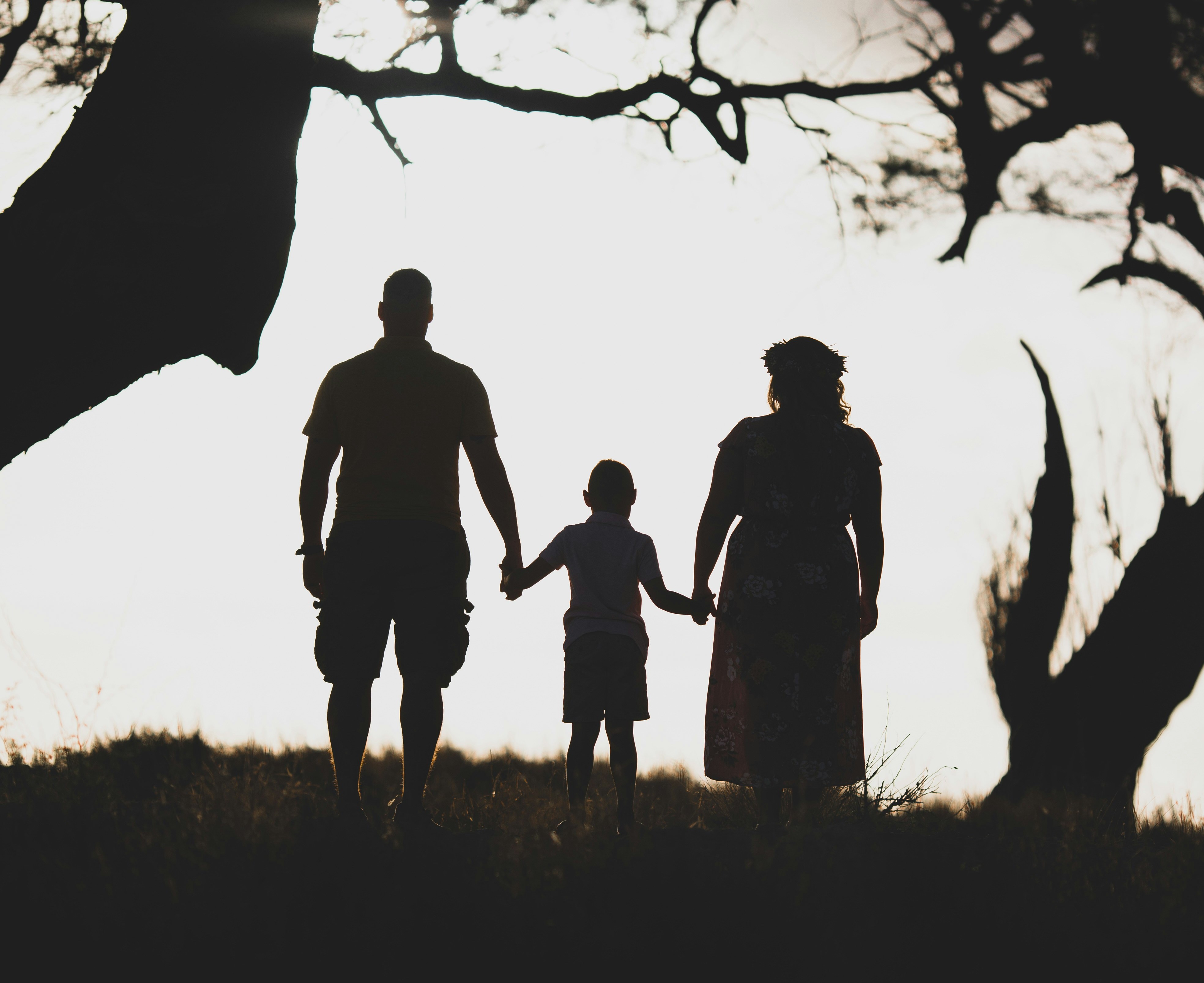 Single-Family vs. Multi-Family Homes in Maricopa: Which Is the Better Investment?