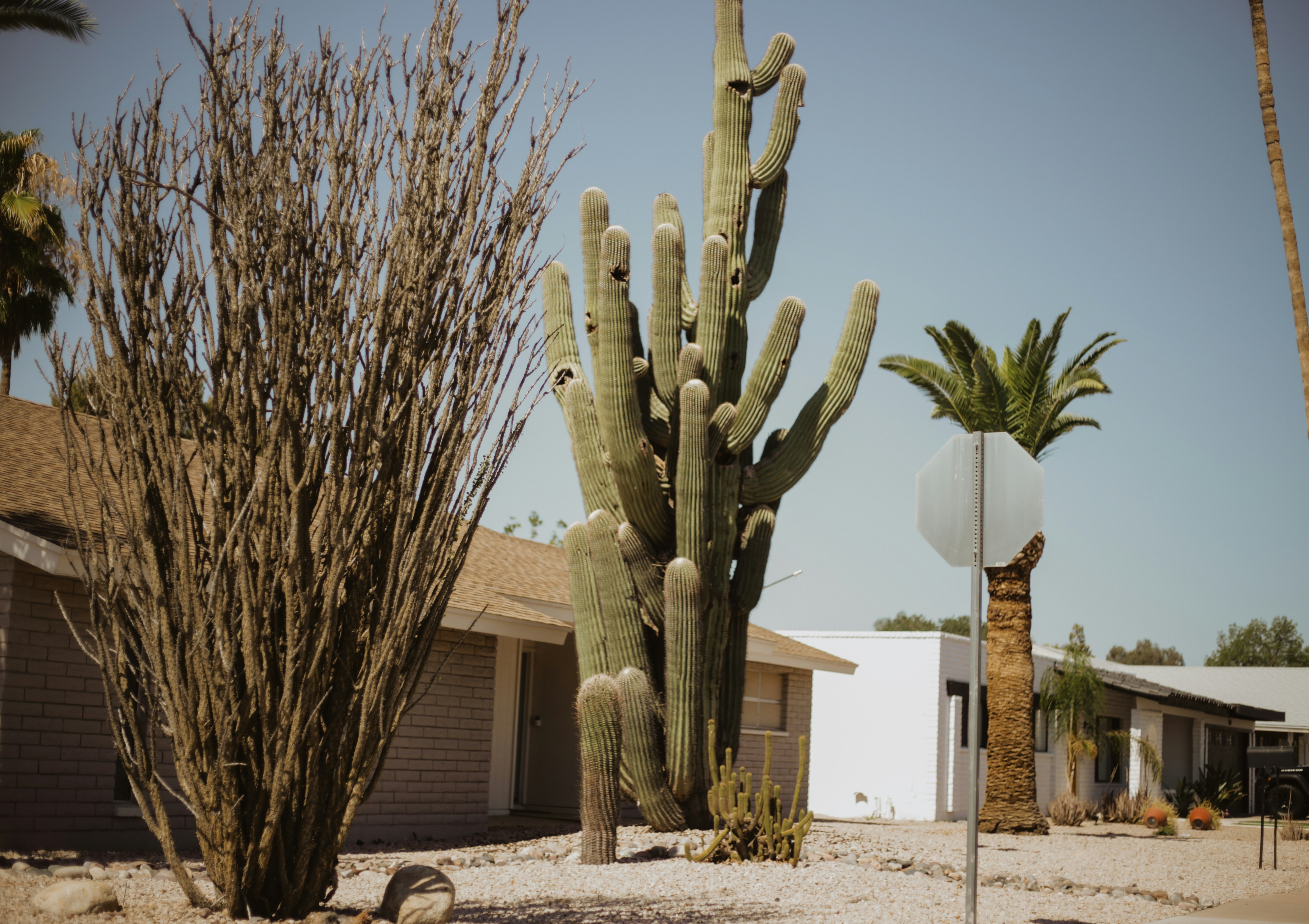 When Is the Right Time to Sell a Home in Phoenix? Signs the Market Is Telling You to Act